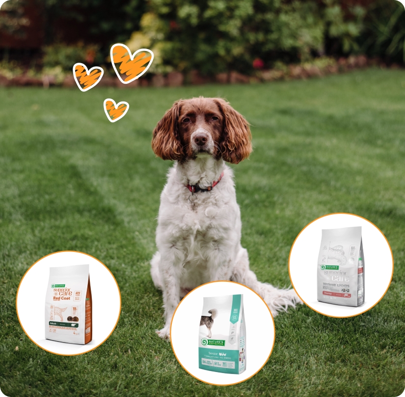 Наші цінності