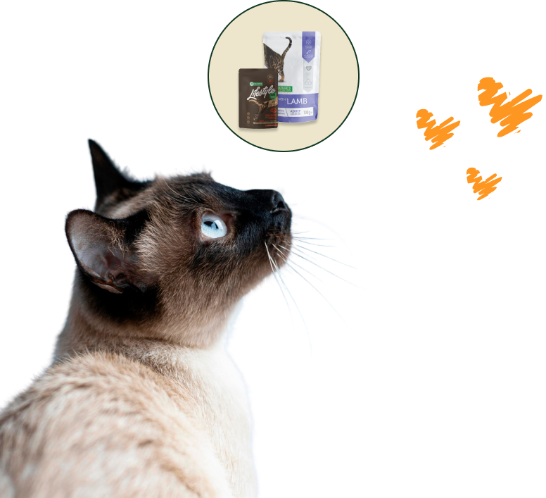 Перший досвід роботи з Microzeogen