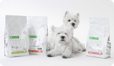 Перший досвід роботи з Microzeogen