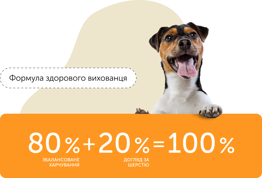 здоровий догляд і Збалансоване харчування