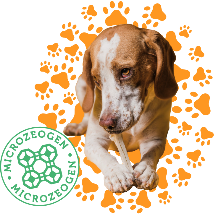 MICROZEOGEN