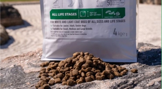 Собачий корм з білками комах. Чи корисний він для здоров'я собаки, чи це просто тренд?