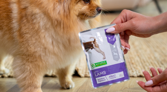 Чутливе травлення у собак: який корм краще давати