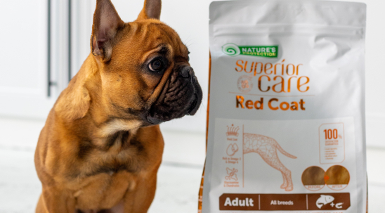 Харчування для собак з алергією: який корм обрати