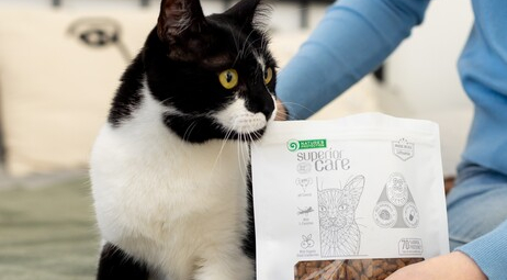 Додаткове харчування для котів: супи, ласощі, вологі корми