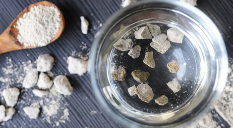 MicroZeoGen: надзвичайно корисний компонент у мисці вашого вихованця