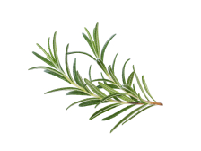 Екстракт розмарину