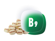 Фолієва кислота