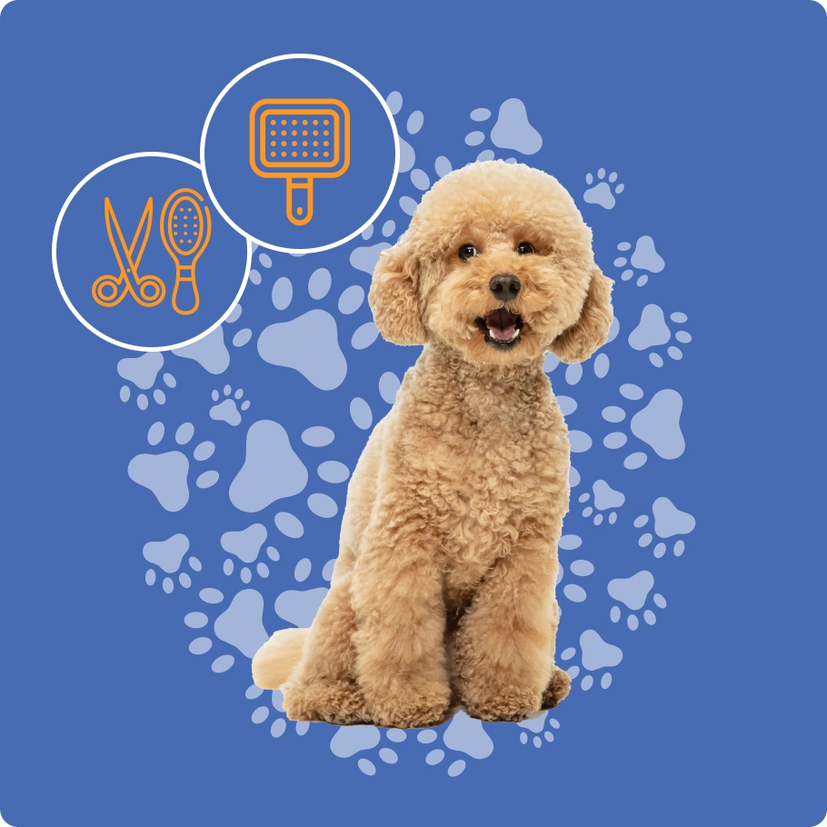 Перетворення